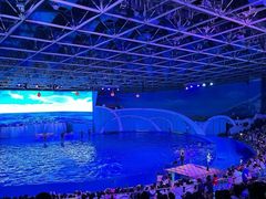 -海合安青岛极地海洋公园