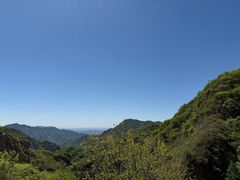 -大岭沟猕猴桃谷风景区