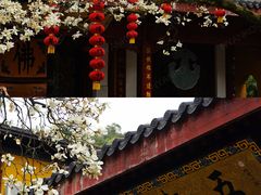 -杭州上天竺法喜讲寺