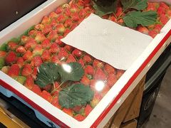 -书亦烧仙草(印象汇都市店)