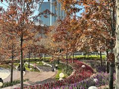 -北外滩滨江绿地