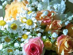 -循礼门鲜花花市(武汉循礼门店)