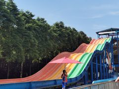 -重庆海昌加勒比海水世界