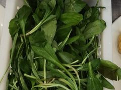 海浪菜-正能量脆肉鲩火锅