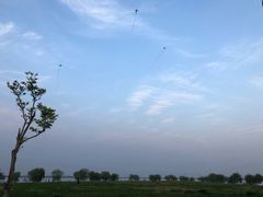 -漕湖湿地公园