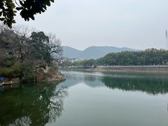 -蒋氏故居