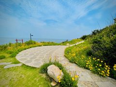 -养马岛旅游度假区