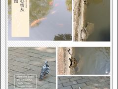 -西园寺