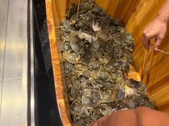 -初色海鲜自助(万丰路店)