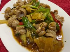 -蛇口康乐快餐鱼仔档(翠苑小区店)