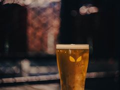 -蜜和麦精酿啤酒吧honey&malt(桐梓林店)