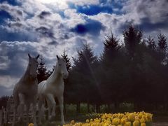 -长春公园(普阳街道)