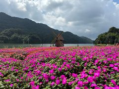 -广州市石门国家森林公园