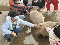 -鄂尔多斯野生动物园