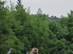 -上方山森林动物世界