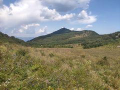 -白草畔自然风景区