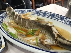 清蒸白水鱼-洞天食府(北大街店)