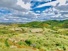 -塞罕坝国家级自然保护区