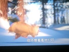 android_upload_pic-博纳国际影城(淄博店)