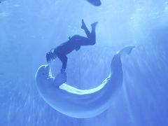 -多彩贵州城极地海洋世界