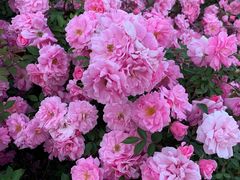 -长春公园(普阳街道)