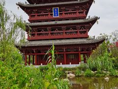 -东平国家森林公园