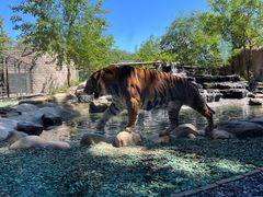 -北京野生动物园