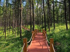 -塞罕坝国家级自然保护区