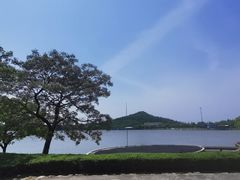 -上海月湖雕塑公园