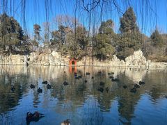 -清华大学-甲所餐厅