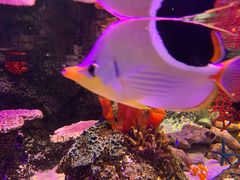 -沈阳海洋探索中心