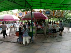 旋转木马-晓港公园
