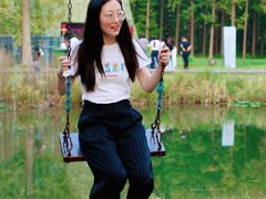 -黄海国家森林公园