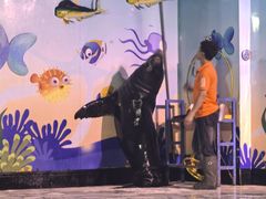 -太平洋海底世界