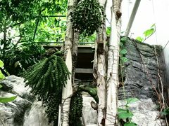 -北京植物园-展览温室