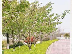-南京眼步行桥
