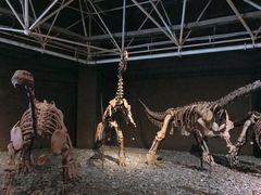 -世界恐龙谷景区