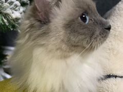 -零纪元VR体验馆·桌游(黄浦店)