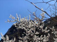-北京凤凰岭