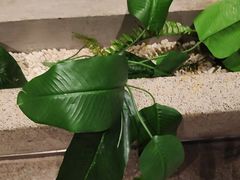 -蘸小院铁锅炖·蘸酱菜·东北菜(怀远门店)