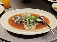 -骏莱海鲜鱼港(五角场店)