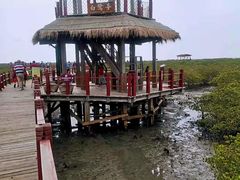 -北海金海湾红树林生态旅游区