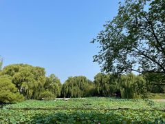 -皇家御河游(紫御湾码头)