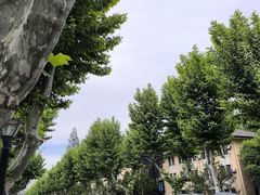 -浙江大学(玉泉校区)