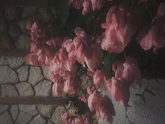 -深圳湾公园-停车场