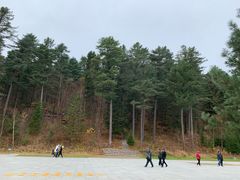 -五营红松林海景区