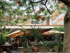 -缘生态云南菜·野生菌庭院餐厅(华侨城店)