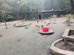 -哈尔滨北方森林动物园