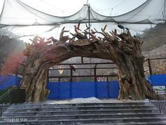 -大连森林动物园