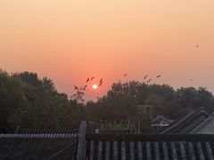 -糖房咖啡(南锣鼓巷店)
